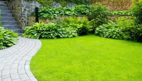 Landscaping Companies in Dubai