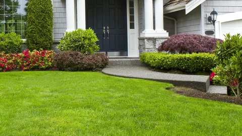 Affordable landscaping contractors uae