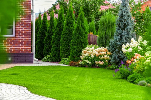 Landscape Contractors In Dubai
