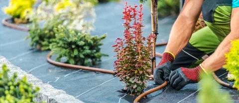 Top Landscaping Companies In Dubai