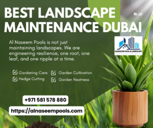 Best Landscape Maintenance Dubai