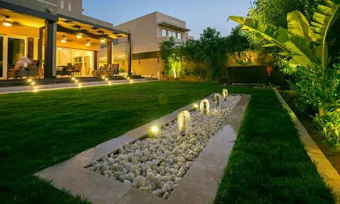 Best Landscape Maintenance Dubai
