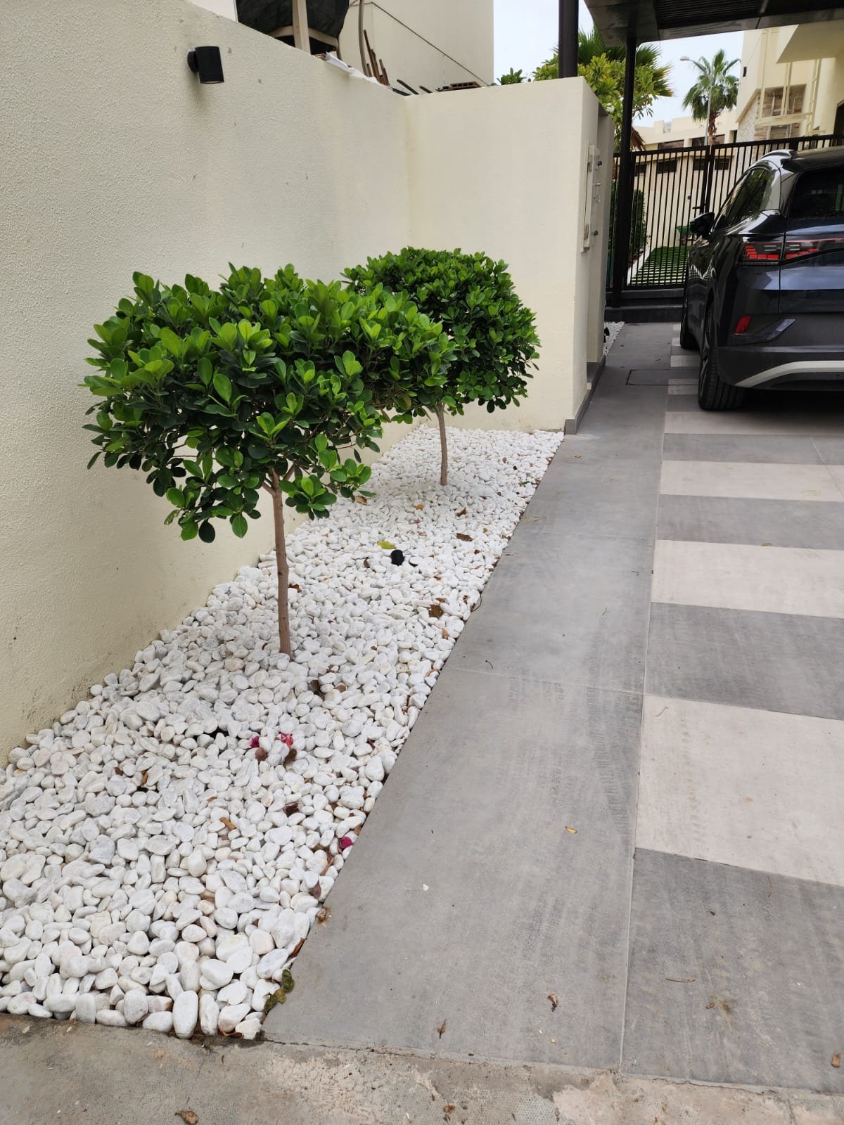 Luxury Projects Of Swimming Pool Contractor Dubai